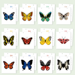 Load image into Gallery viewer, Blooming Butterfly Paint by Numbers Calendar
