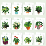 Load image into Gallery viewer, Botanical Leaves Paint by Numbers Desk Calendar
