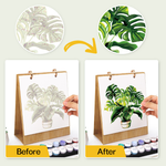 Load image into Gallery viewer, Botanical Leaves Paint by Numbers Desk Calendar
