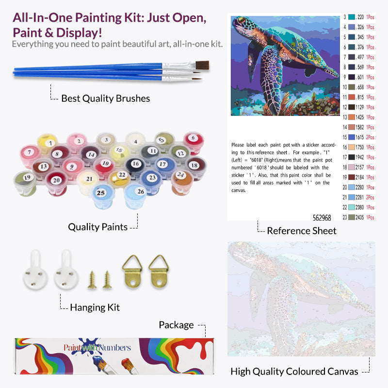 Claire The Turtle, Paint By Numbers