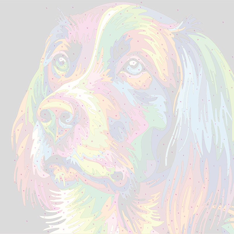 Colorful Dog Face, Paint By Numbers