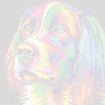 Load image into Gallery viewer, Colorful Dog Face, Paint By Numbers
