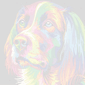 Colorful Dog Face, Paint By Numbers