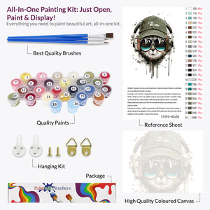 Cool Cat Beats Paint by Numbers