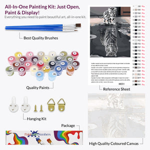 Dream Big Paint by Numbers
