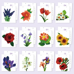 Load image into Gallery viewer, Garden Blooms Paint by Numbers Calendar
