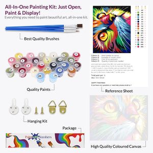 Multicolor Cat, Paint By Numbers