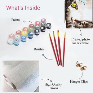 Curious Encounter Paint by Numbers