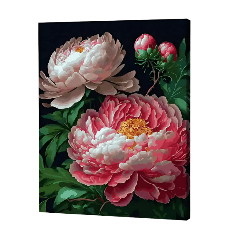 Elegant Peonies Paint by Numbers